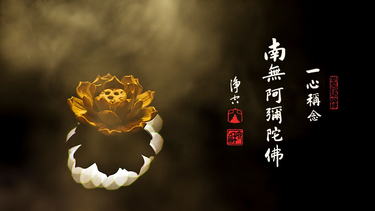 修行 修什麼行-第2095集