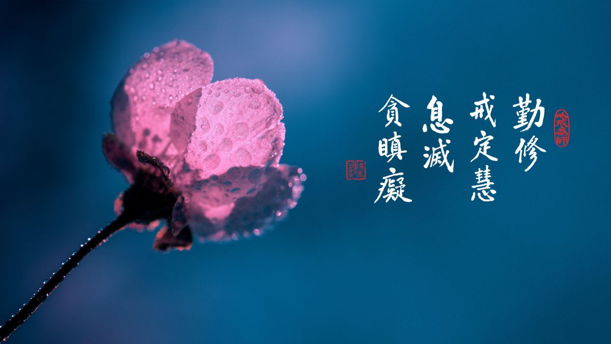 如何消除三種障礙-第2126集