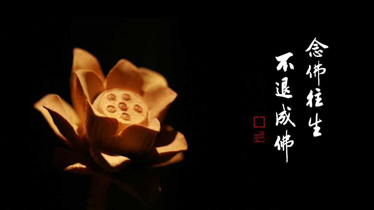 西方極樂世界人人都是無量壽-第2124集