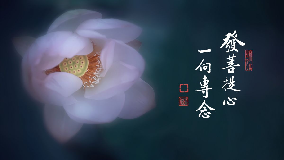 什麼是諸善之本-第2123集