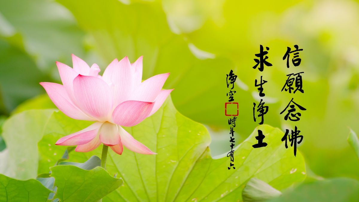 保證一生成就的法門-第2089集