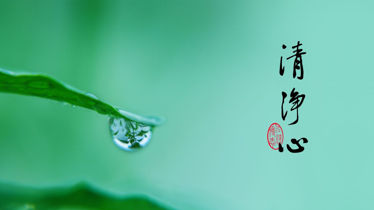 什麼才是正知正見的人-第2137集