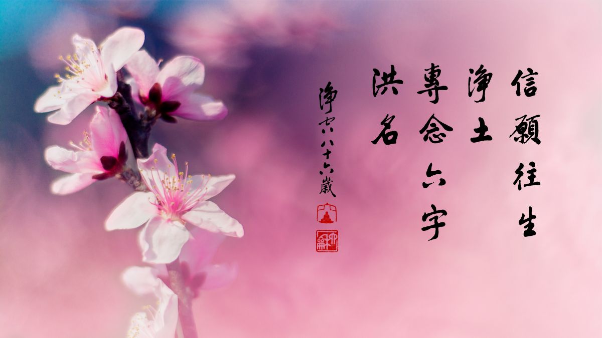 什麼是善中之王-第2094集