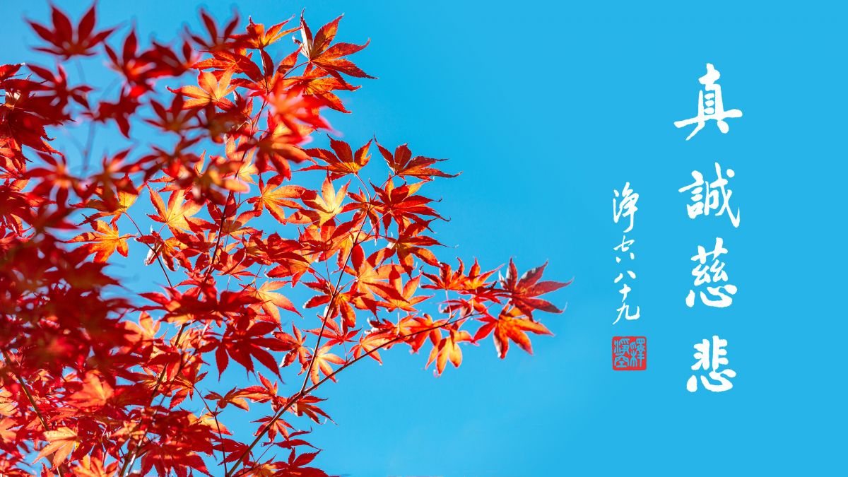 為什麼歡喜心生不起來-第2147集