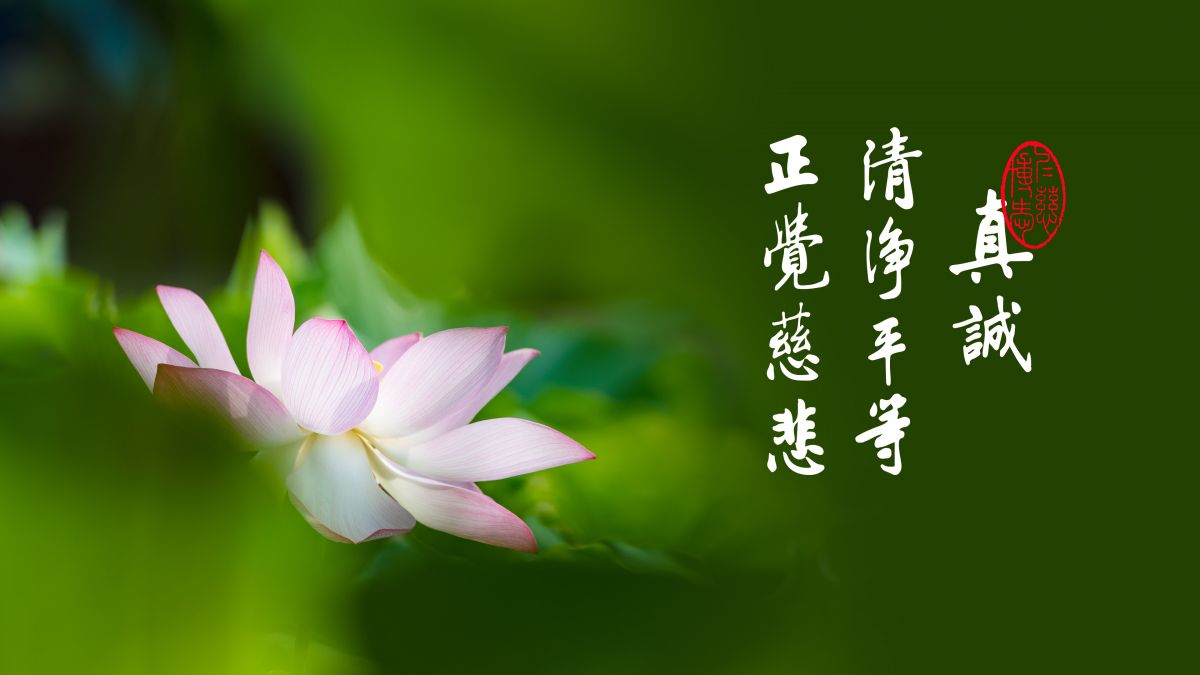 用什麼方法對治無始劫來的習氣-第2121集