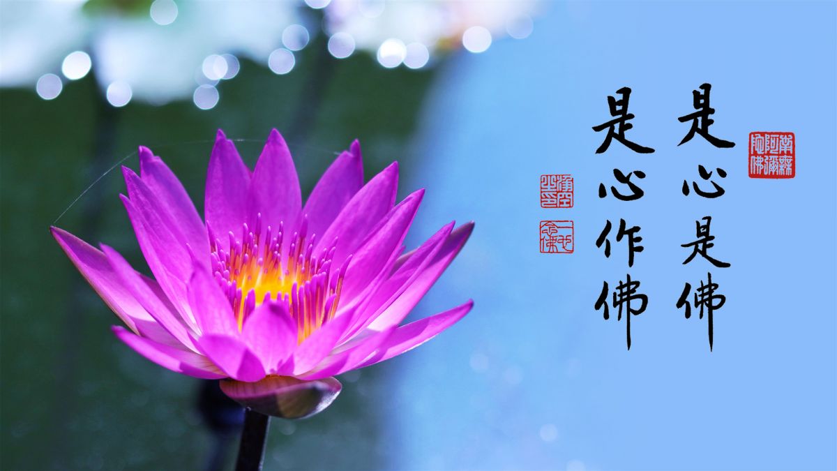 念佛善根福德同佛-第2117集