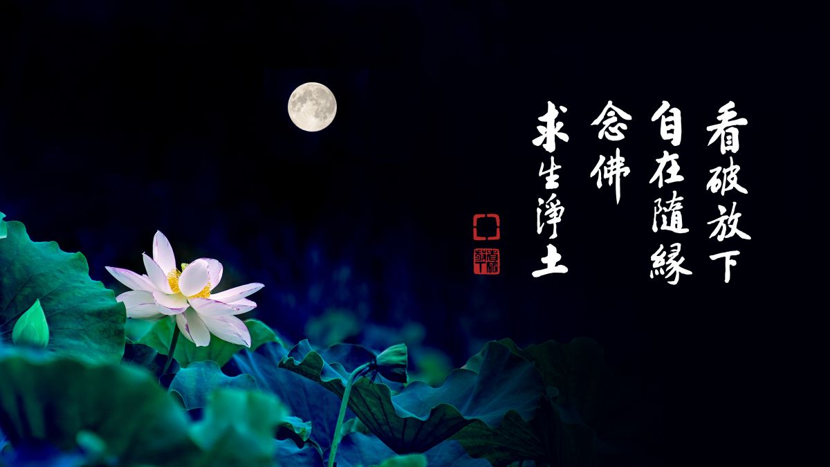 真正要放下的是什麼-第2087集