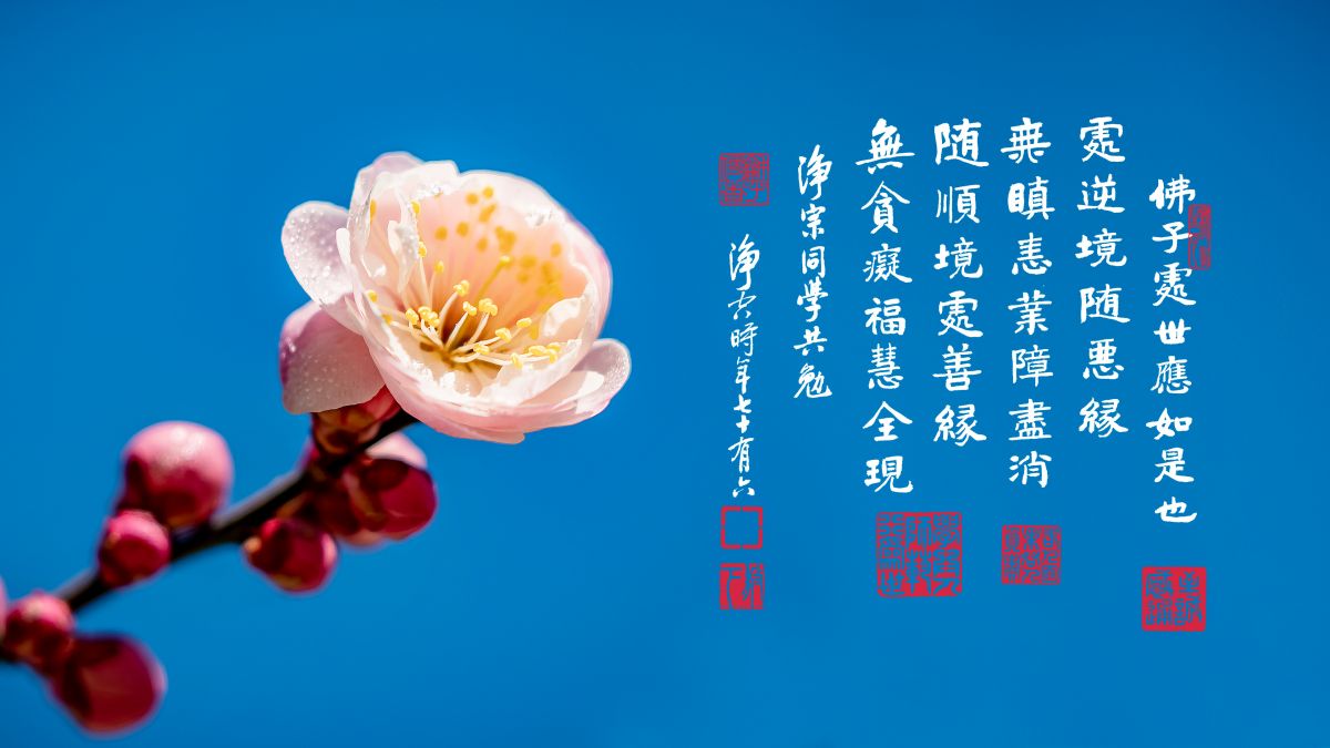 佛陀對我們的期望是什麼-第2202集