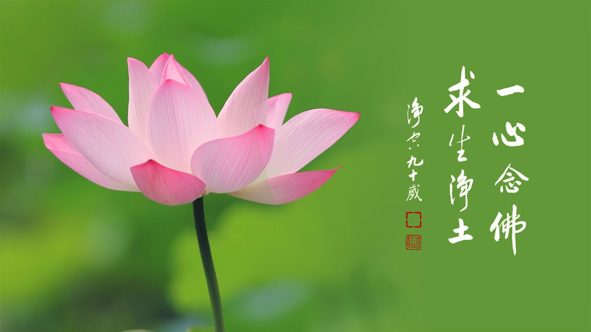 福要如何享受-第2130集