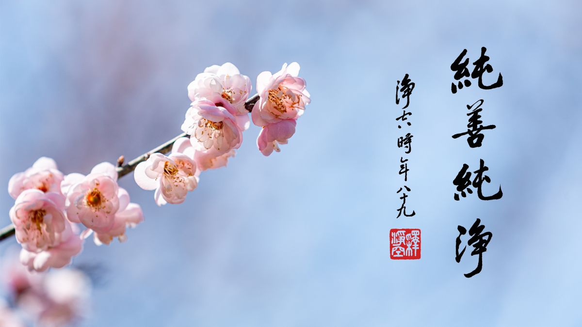 修行要有高度的警覺-第2135集