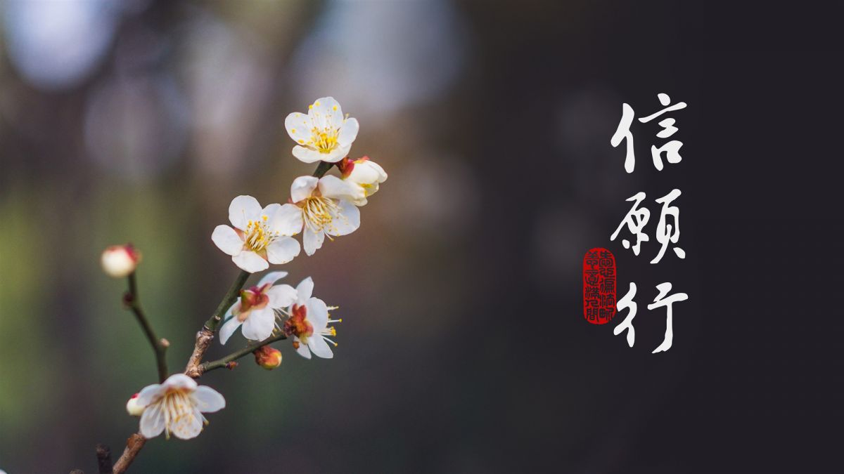 為什麼要相信極樂世界-第2103集