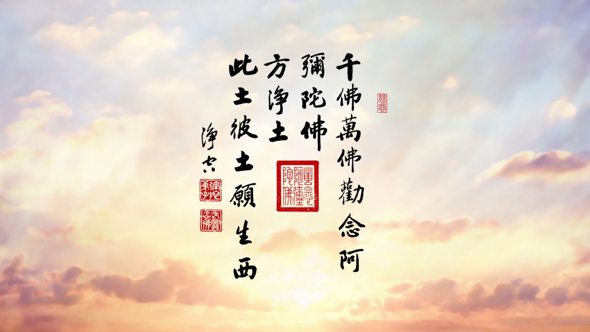 無論如何求生淨土就對了-第2180集