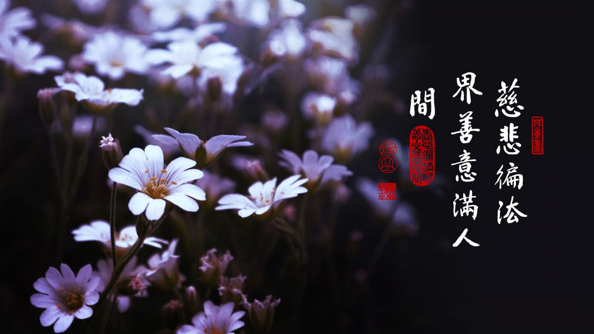 什麼是諸佛-第2082集