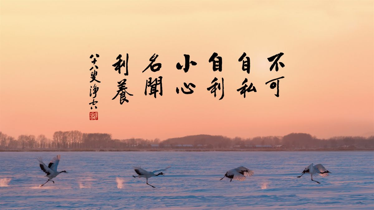 如何練就不起心、不動念？-第20集