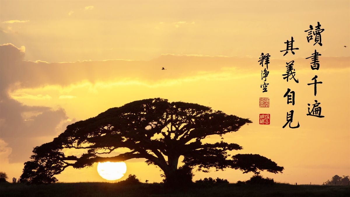 回常寂光得大自在-第88集