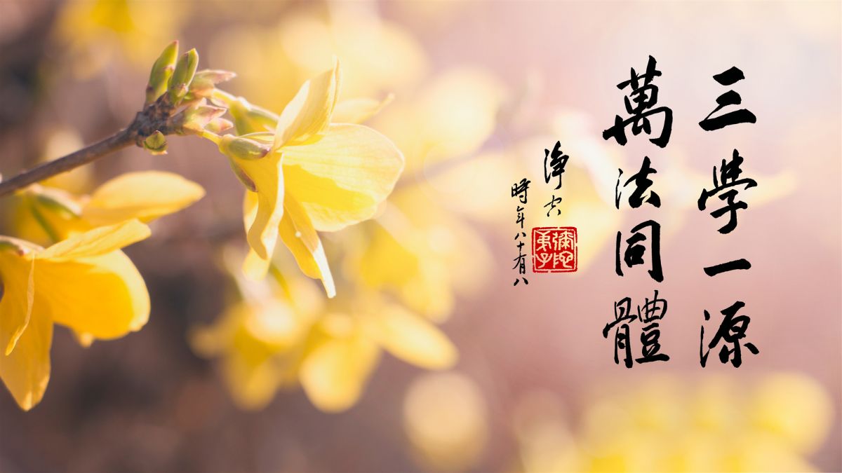 無量壽經如峰頭之頂尖-第94集