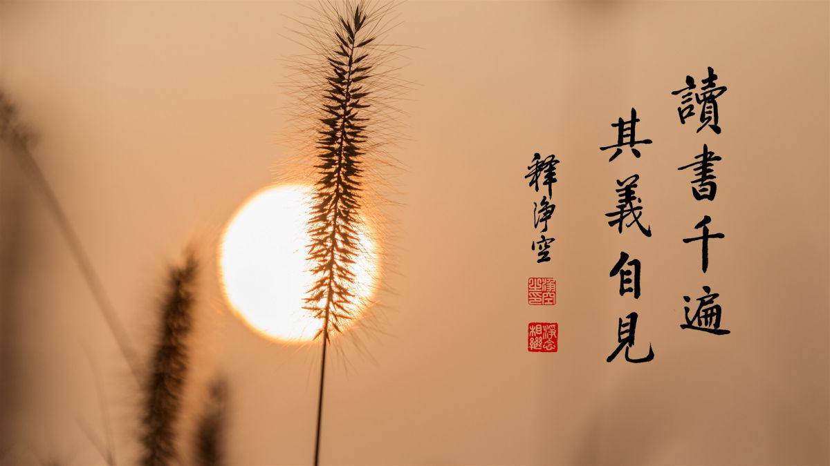 淨念相繼，自得心開-第72集