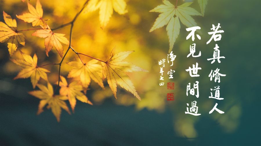 四十八願，首為凡夫兼為三乘-第79集
