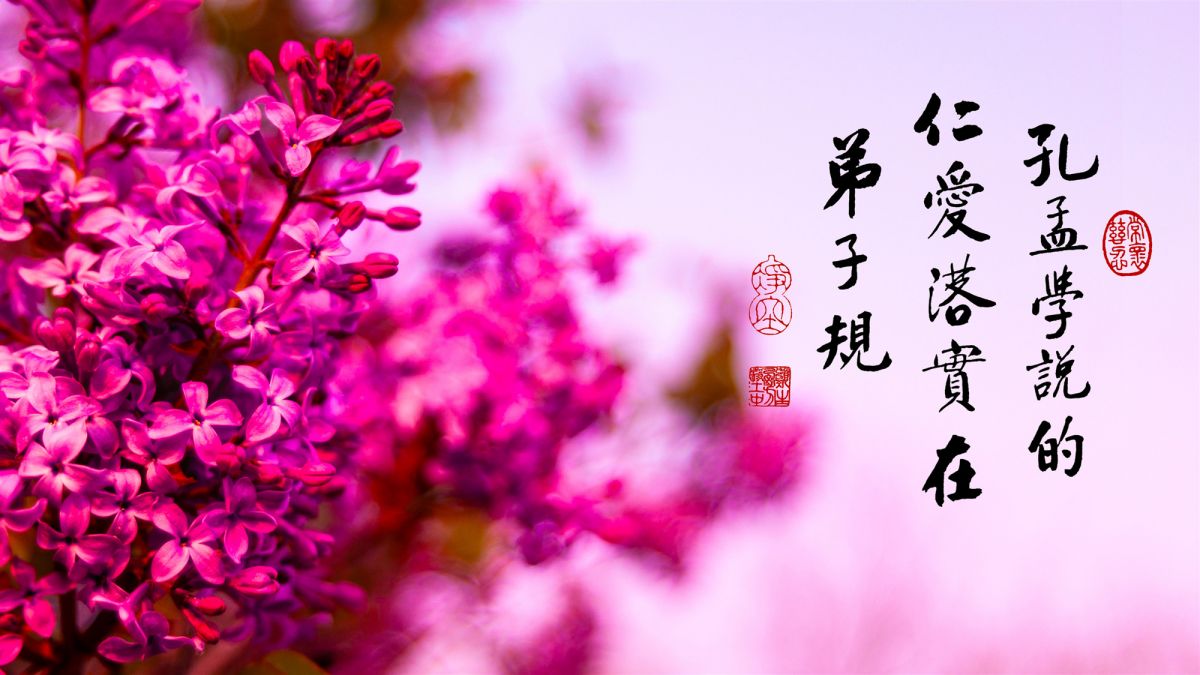 什麼是福-第2185集