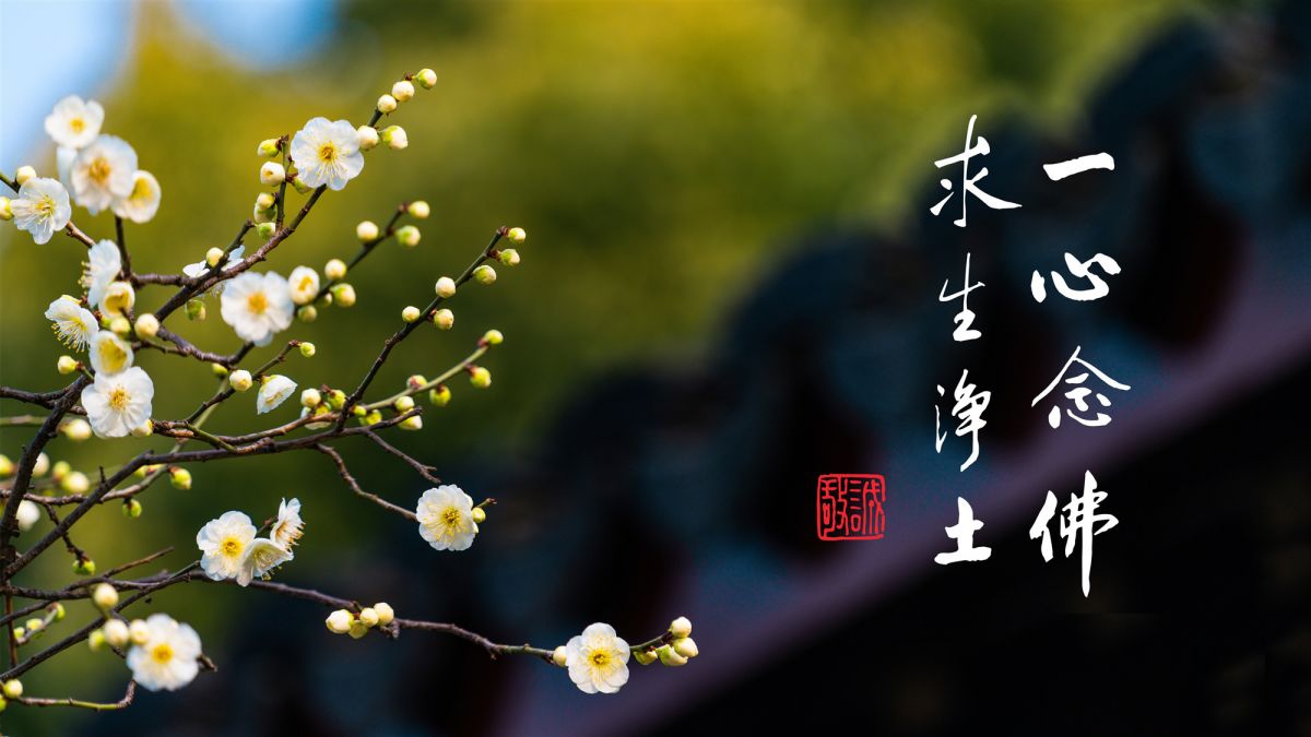 如何保持清淨心-第2122集