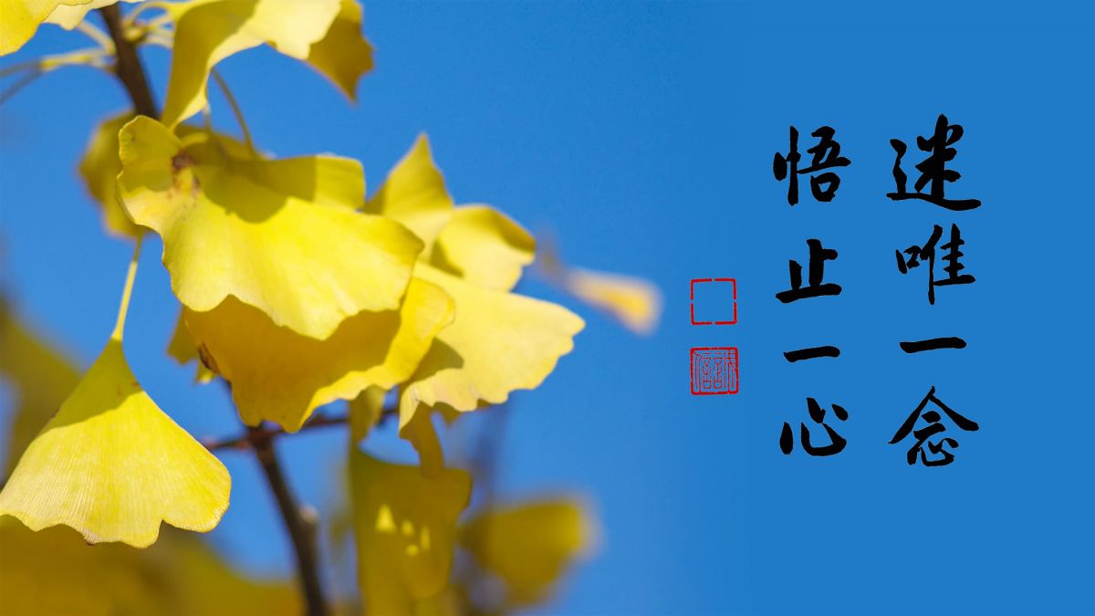 最殊勝的法門-第2113集