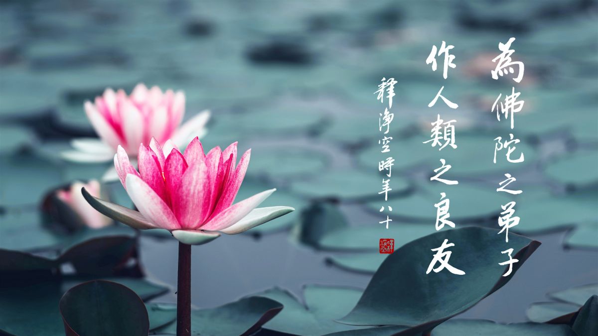 真正學佛人是什麼樣子-第2111集