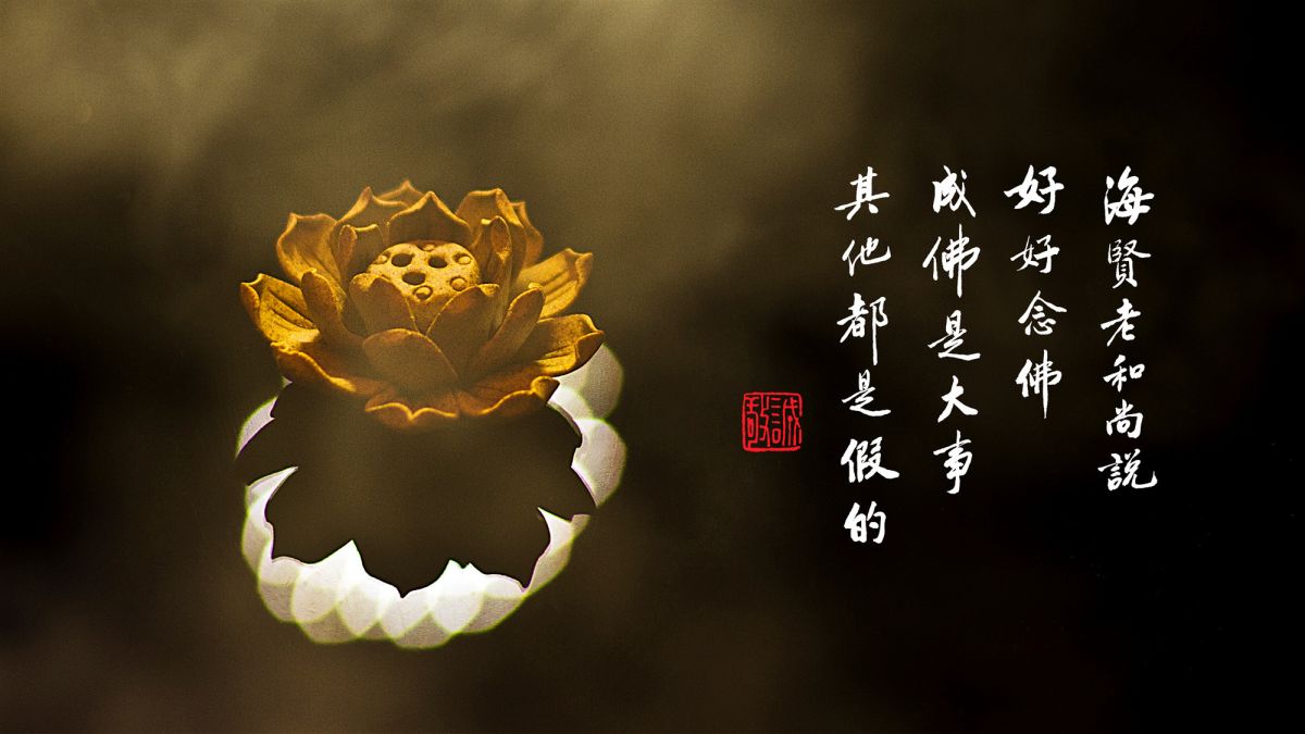 如何隨順如來之所行-第2176集