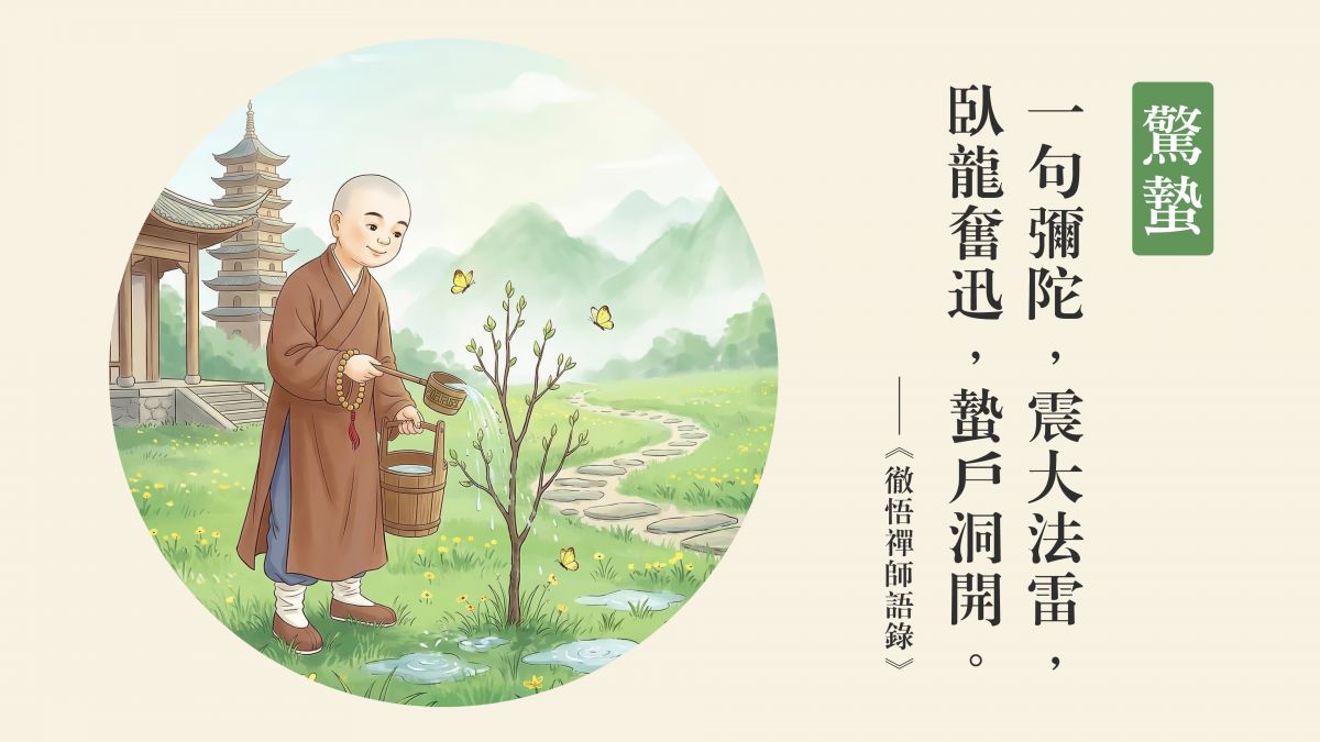 臥龍奮迅，蟄戶洞開-全1集